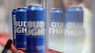 Ex-Anheuser-Busch employee says Dylan Mulvaney campaign a 'strategic destruction of Bud Light'