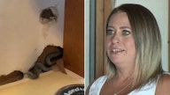 Colorado homebuyer discovers snakes in walls as she moves in: 'I'm petrified'