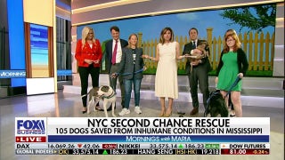 NYC Second Chance Rescue helps abused dogs find their forever home - Fox Business Video