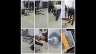 22 snakes, 1 chameleon found in check-in baggage by Indian customs officials