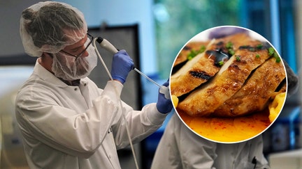 A prepared dish of Good Meat's cultivated chicken is shown at the Eat Just office in Alameda, California, Wednesday, June 14, 2023. In the background, scientists work in a bioprocess lab at the office.