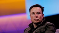Elon Musk says there should be 'some sort of regulatory oversight' of AI