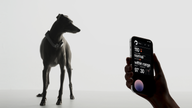 CES 2023: AI smart collar aims to take the guesswork out of your dog’s health with real-time alerts