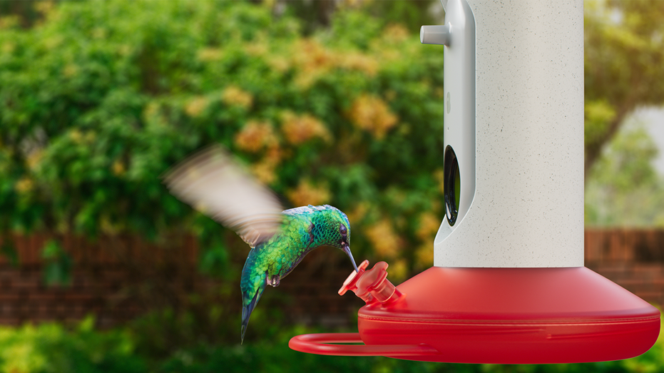 Hummingbird smart feeder