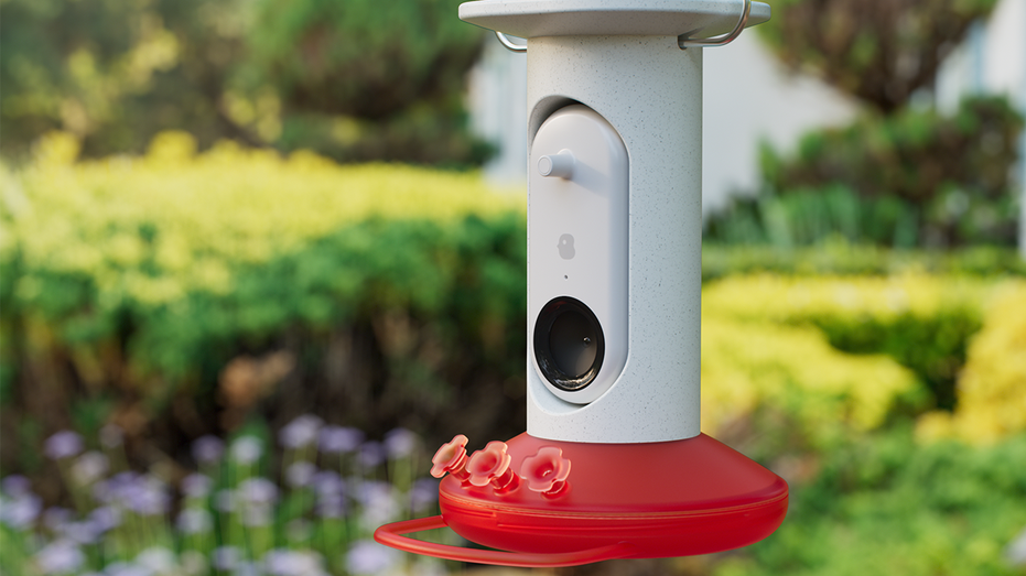 hummingbird smart feeder with AI