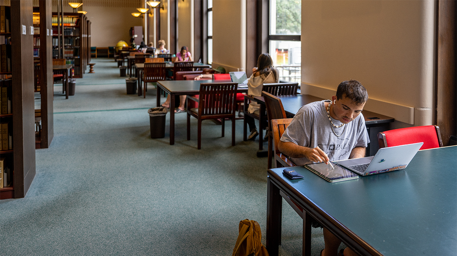College student studying in library